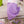 Rapunzel Bundle